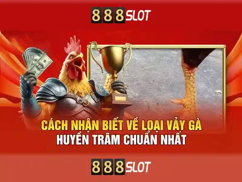 888SLOT - Trải Nghiệm Cá Cược Slot Đỉnh Cao Nhận Thưởng Hấp Dẫn 2026