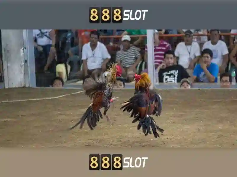 Khám Phá 888SLOT
