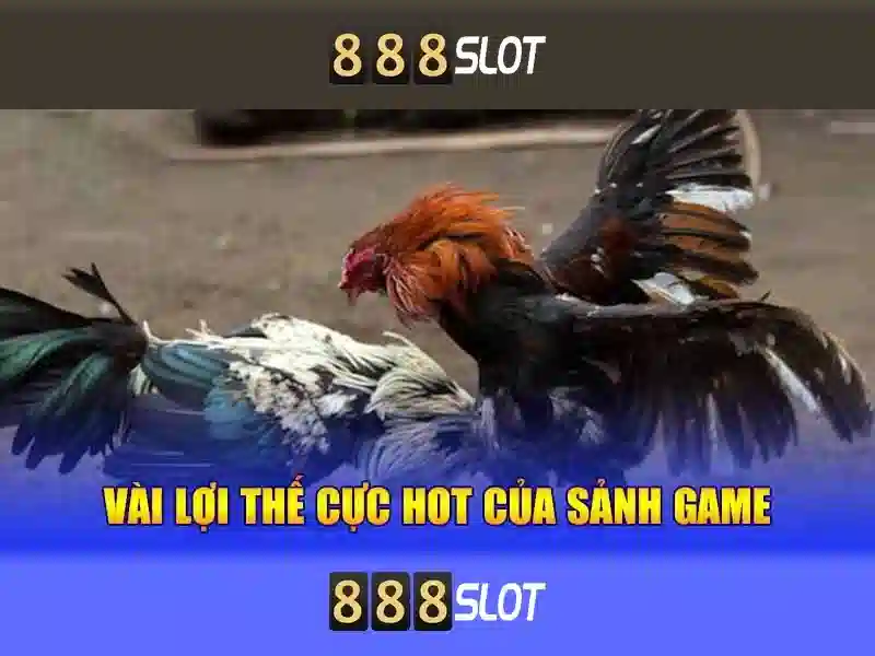 Đặc Điểm Nổi Bật