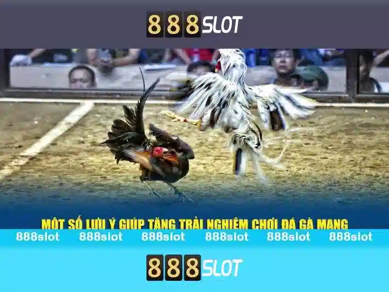 Tính Năng Đặc Biệt Của Slot 77