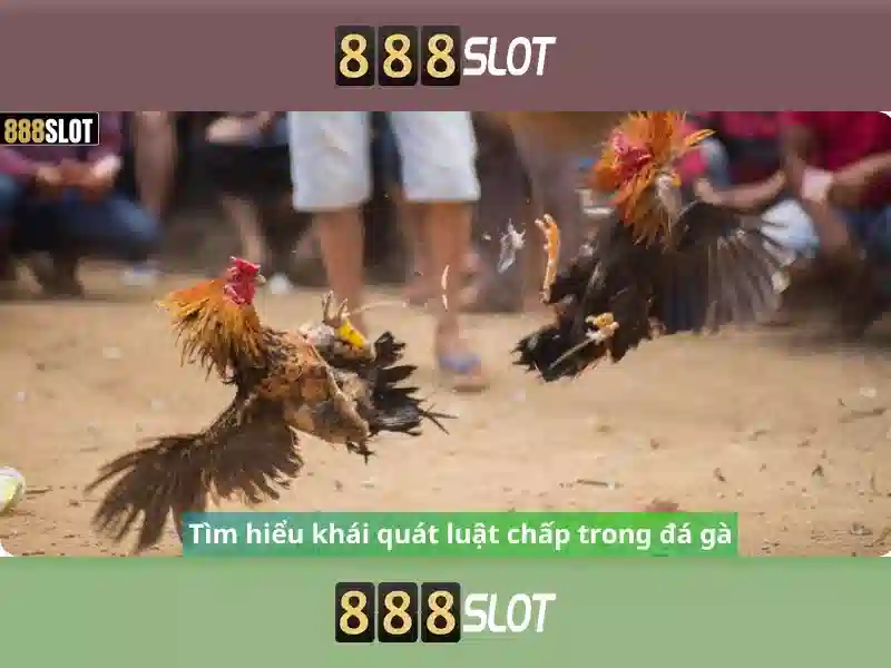 Tính Năng Nổi Bật