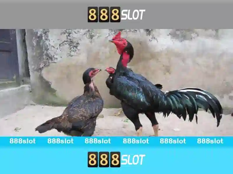 Đăng Nhập 888slot