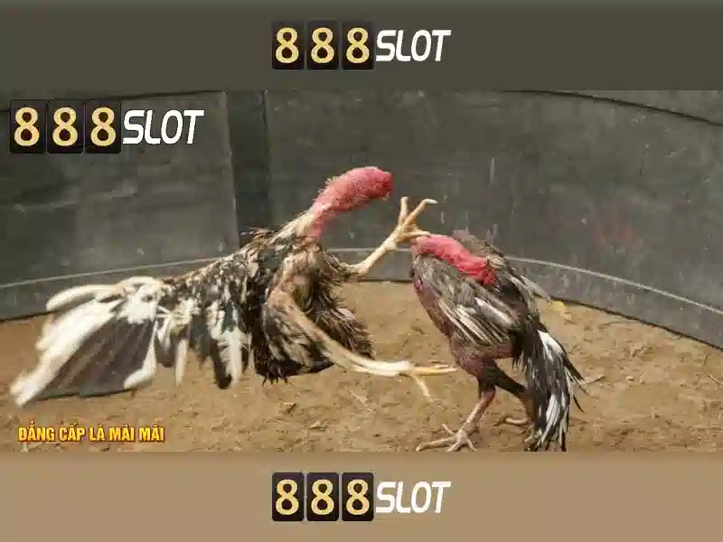 888SLOT