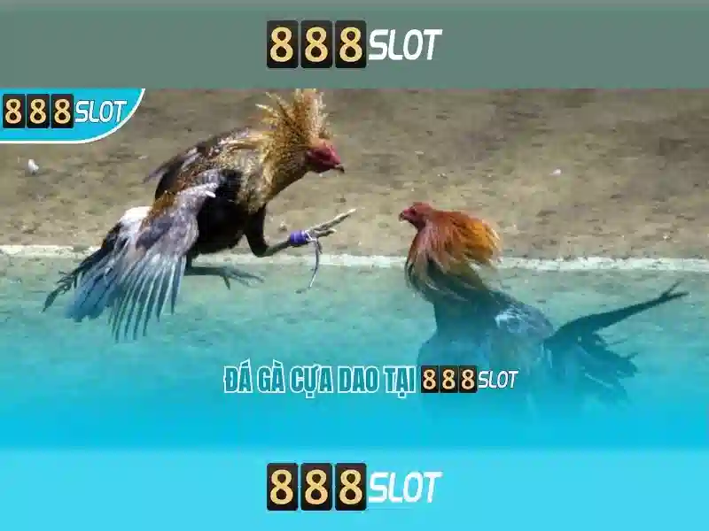 HƯỚNG DẪN CHƠI 888SLOT