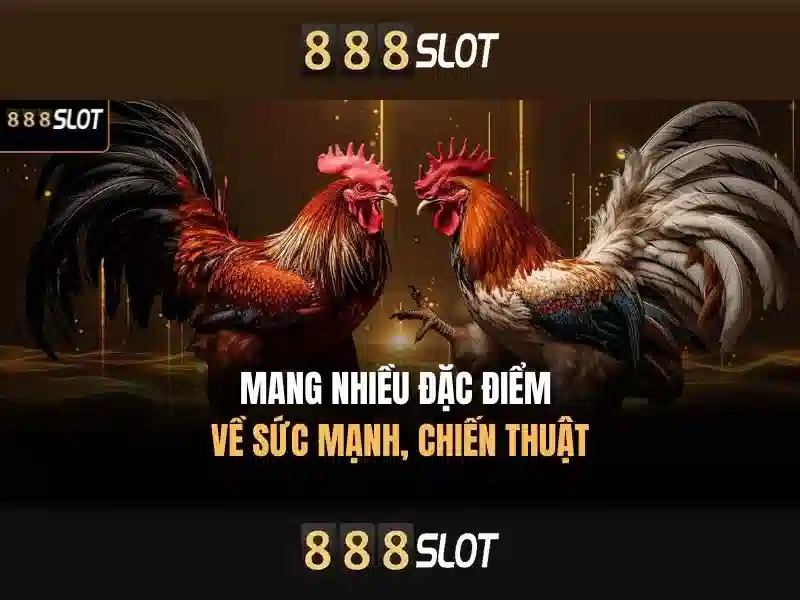 Mã Nhận Thưởng 888slot