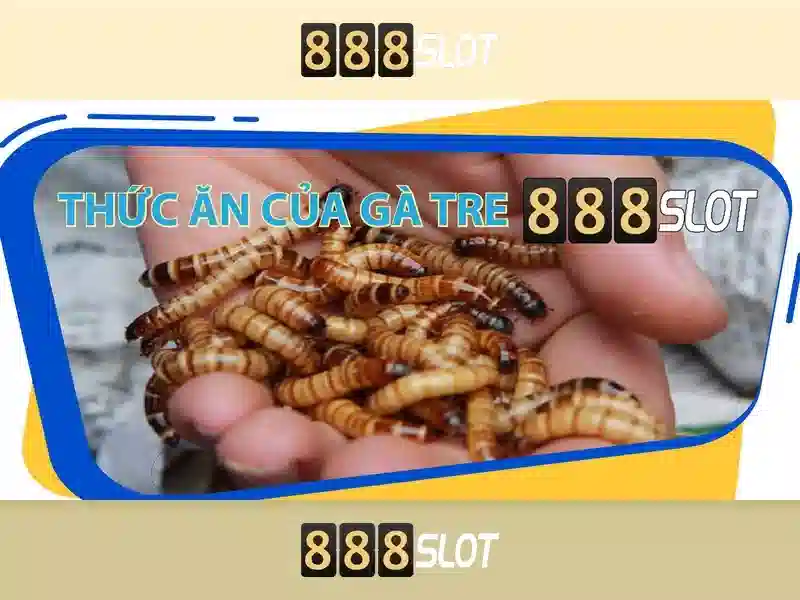 Trải Nghiệm Slot Đỉnh Cao