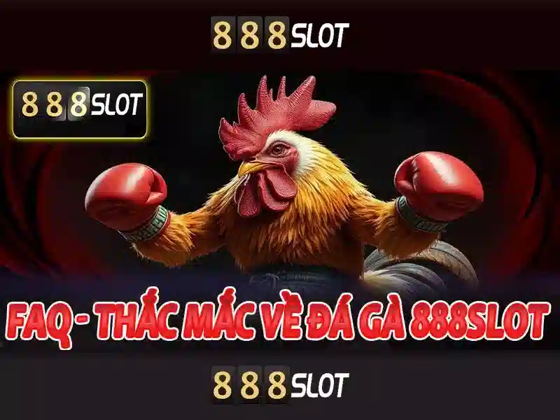 SLOT Việt Nam