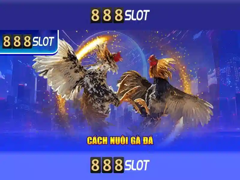 trải nghiệm cá cược đỉnh cao