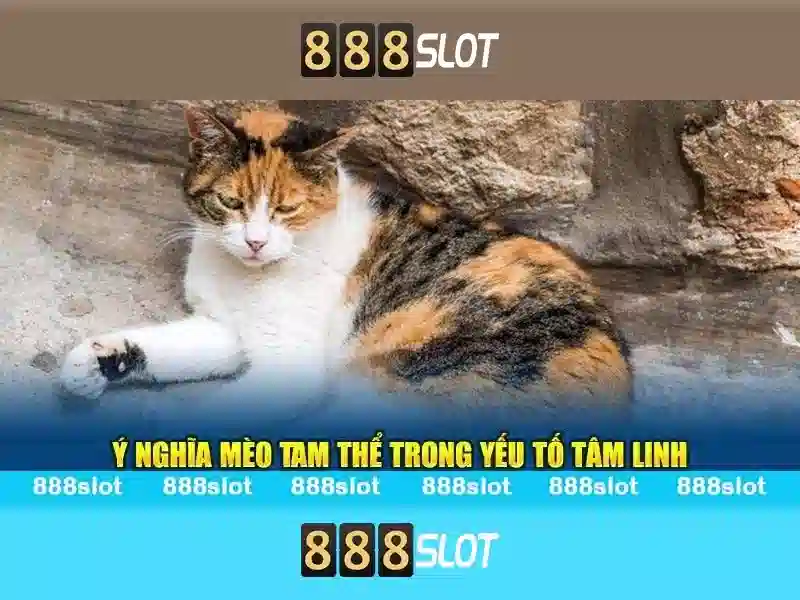 Các Loại Trò Chơi Slot Nổi Bật
