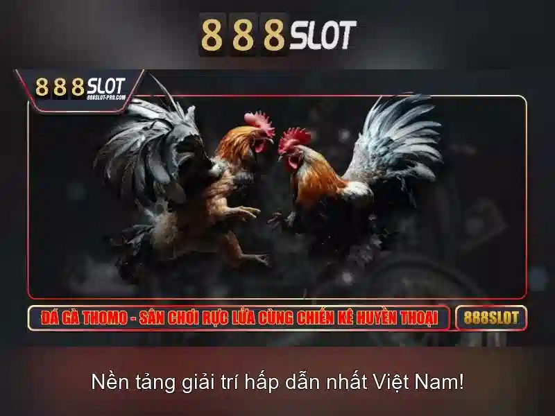 Tin tức Slot mới nhất