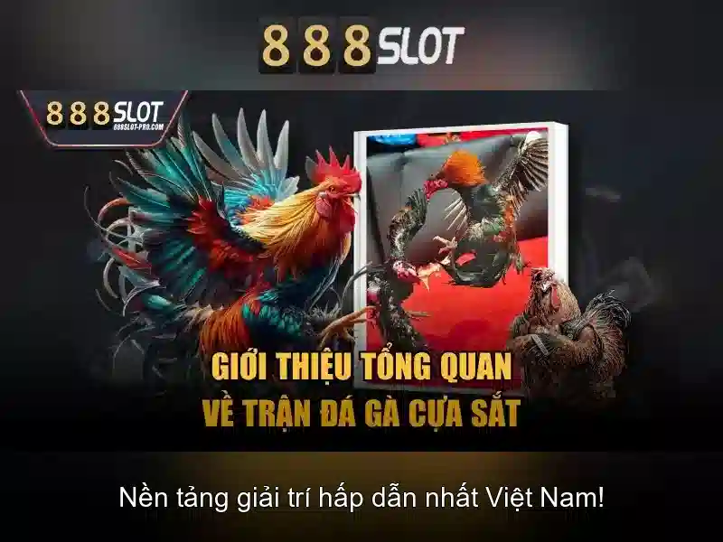 Quy Tắc Tham Gia