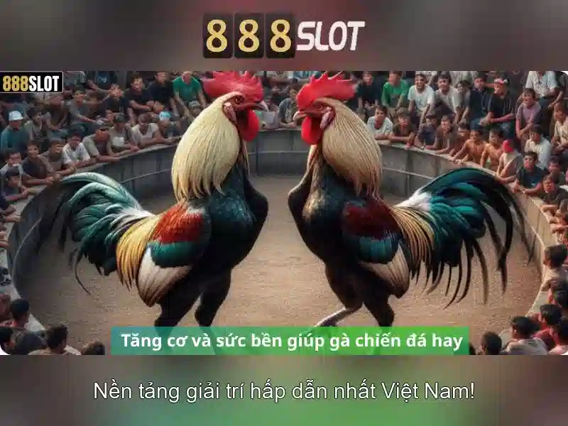 Kinh nghiệm Slot 888SLOT