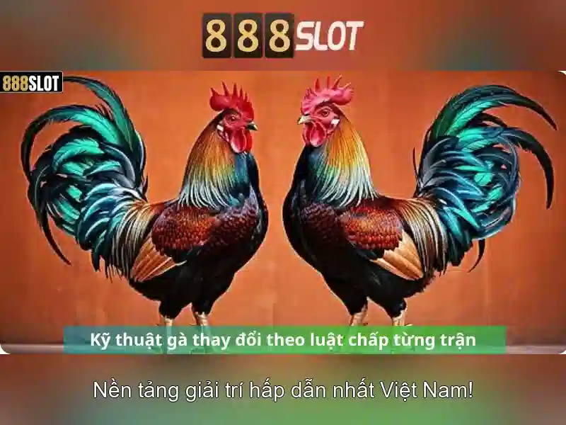 Khuyến Mãi Hấp Dẫn