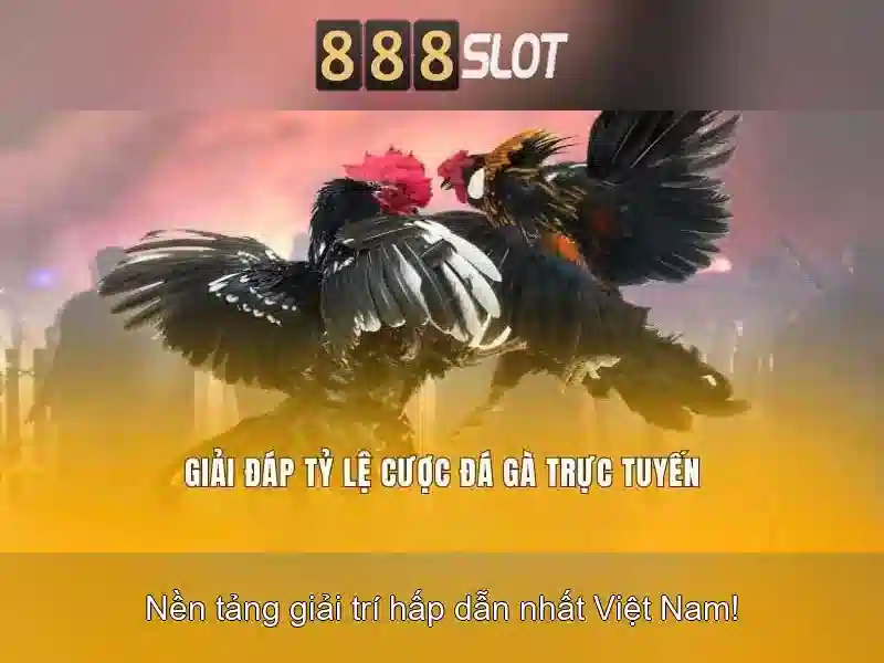Khuyến Mãi Slot365