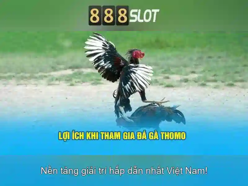 Giao diện 888slot App