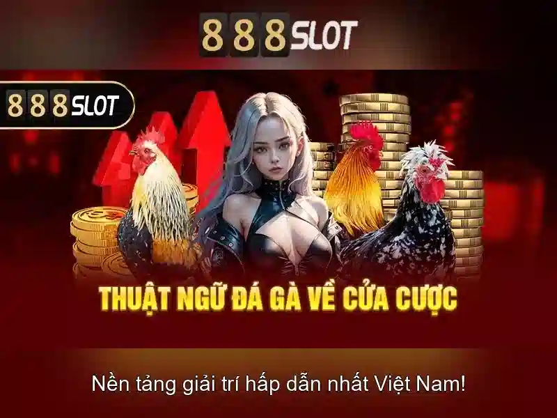 Trải Nghiệm Đỉnh Cao