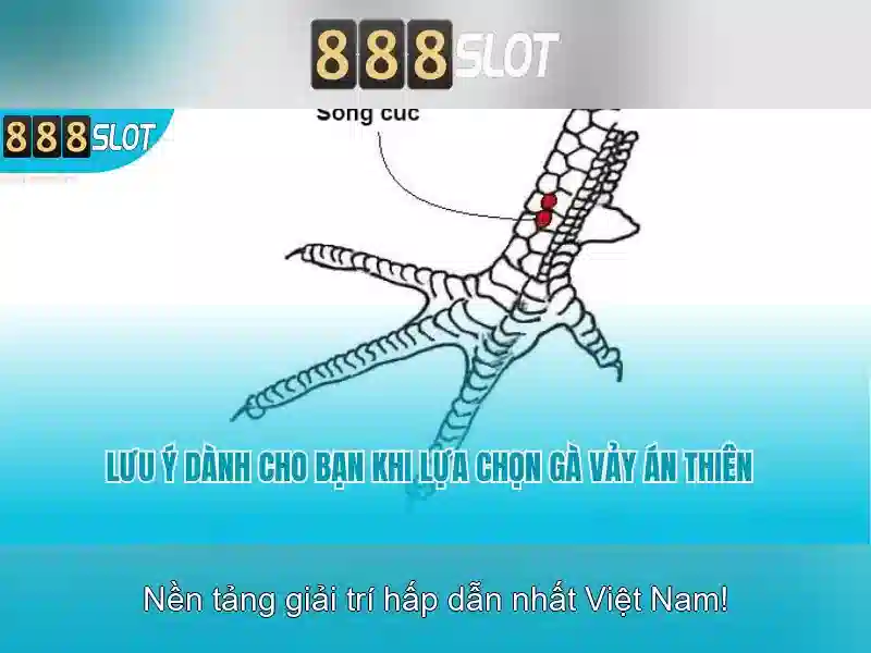 Khuyến Mãi Đặc Biệt